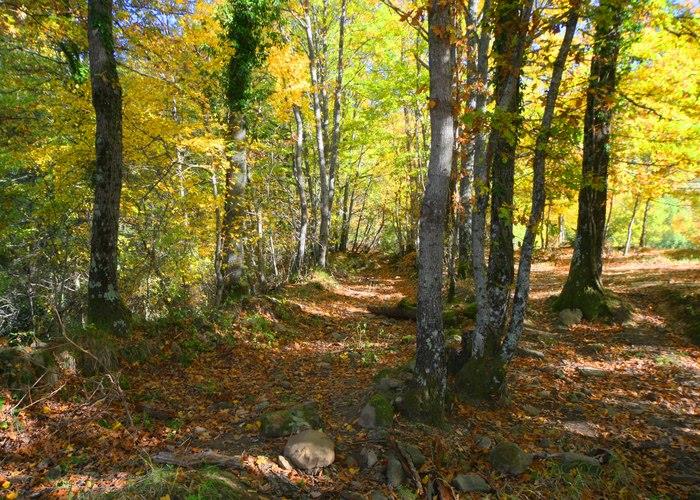 Image No.13-Maison / Villa de 3 chambres à vendre à Sansepolcro