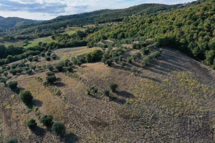 Image No.11-Ferme de 6 chambres à vendre à Umbertide