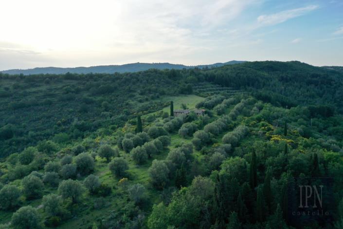 Image No.5-Farmhouse for sale