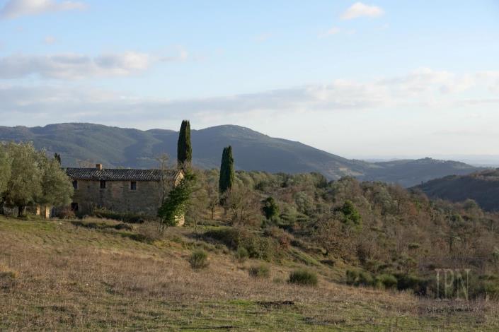 Image No.20-Farmhouse for sale