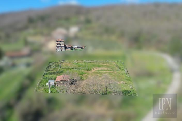 Image No.11-3 Bed Farmhouse for sale