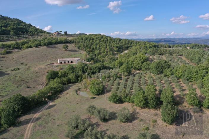 Image No.9-5 Bed Farmhouse for sale