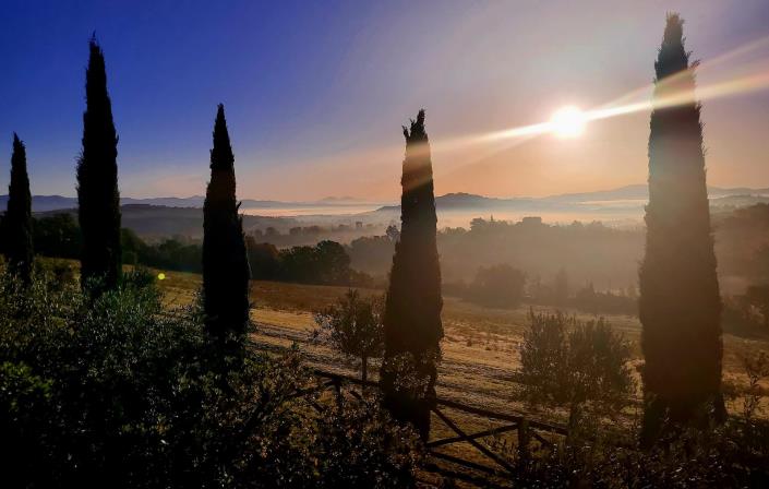 Image No.23-9 Bed Farmhouse for sale