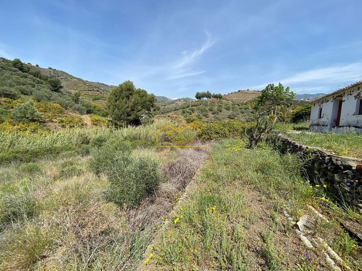 Image No.15-Propriété à vendre à Frigiliana