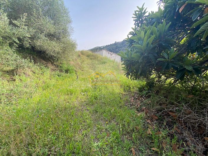 Image No.16-Propriété à vendre à Frigiliana