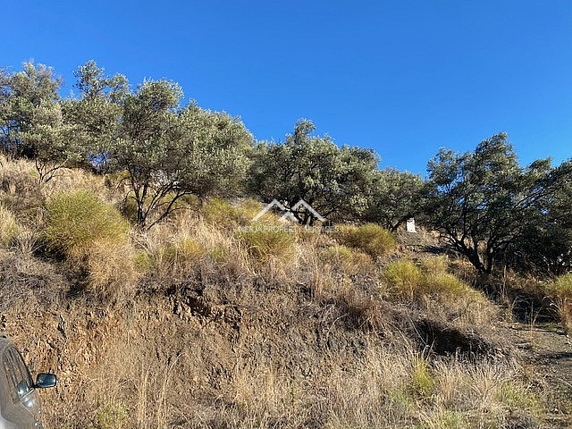 Image No.13-Propriété à vendre à Frigiliana