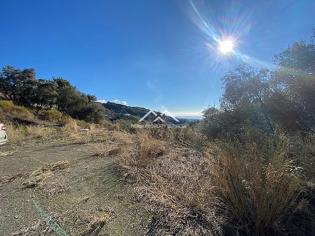 Image No.15-Propriété à vendre à Frigiliana