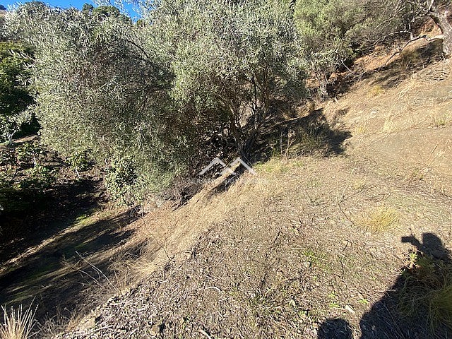 Image No.16-Propriété à vendre à Frigiliana