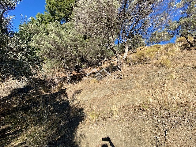 Image No.18-Propriété à vendre à Frigiliana