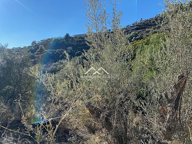 Image No.22-Propriété à vendre à Frigiliana