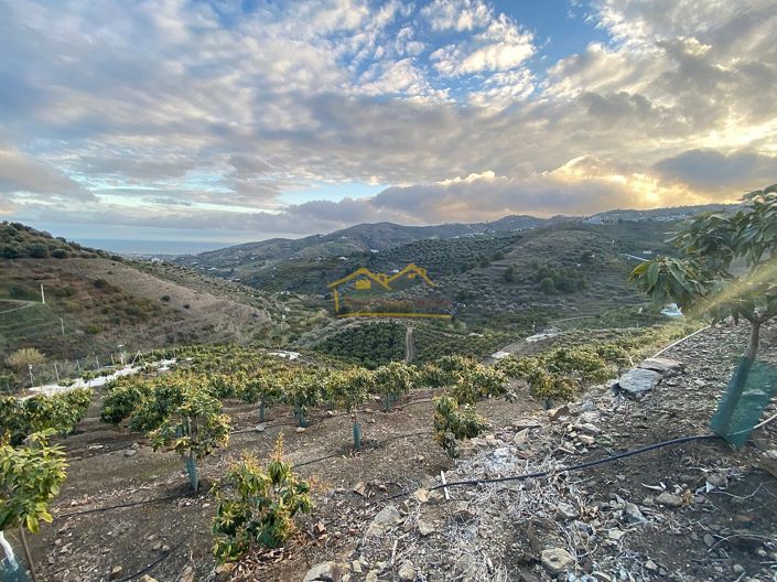 Image No.11-Property for sale