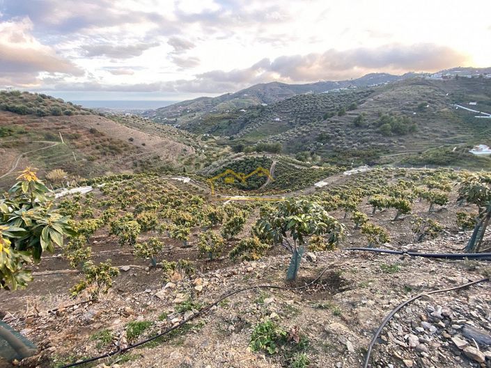 Image No.12-Property for sale