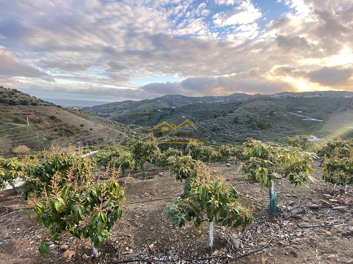 Image No.20-Property for sale