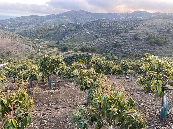 Image No.8-Property for sale