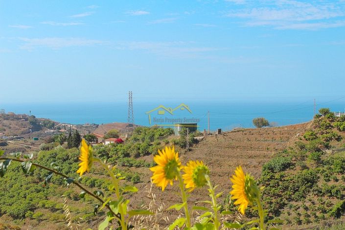 Image No.6-Villa de 4 chambres à vendre à Torrox