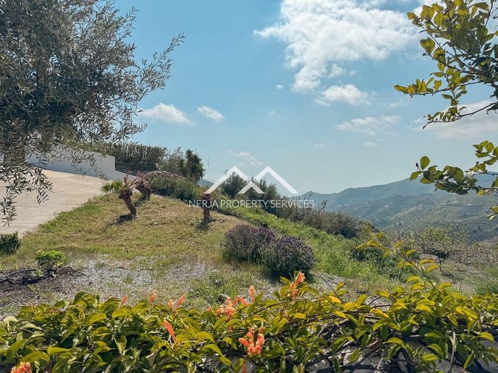 Image No.3-3 Bed Villa for sale