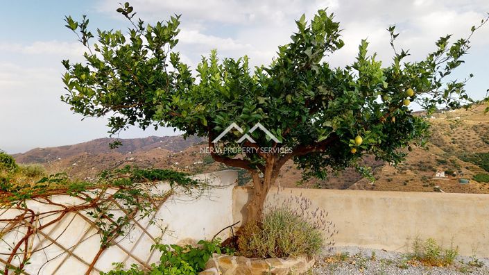 Image No.30-3 Bed Villa for sale