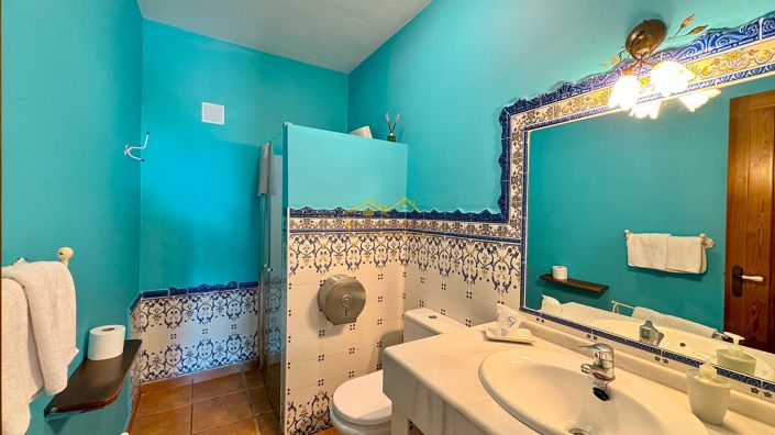 Image No.48-Villa de 7 chambres à vendre à Frigiliana