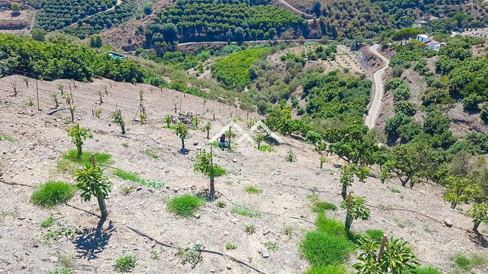 Image No.6-1 Bed Property for sale