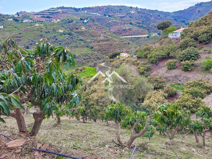 Image No.24-1 Bed Property for sale