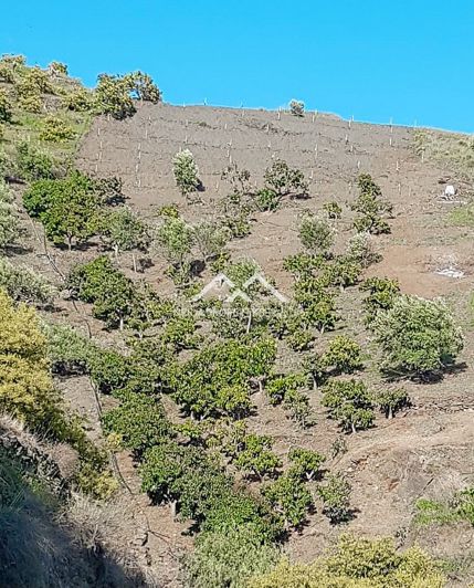 Image No.39-1 Bed Property for sale