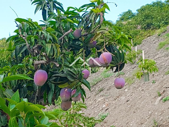 Image No.30-1 Bed Property for sale