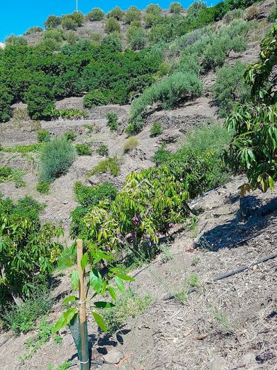 Image No.40-1 Bed Property for sale