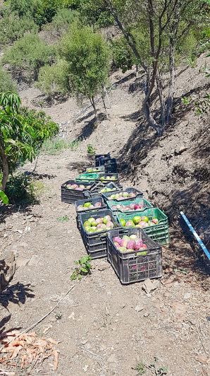 Image No.42-1 Bed Property for sale