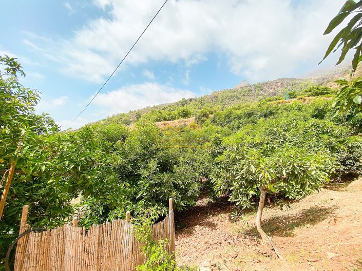 Image No.38-1 Bed Property for sale