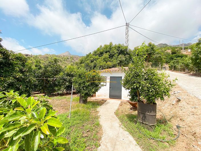 Image No.4-1 Bed Property for sale