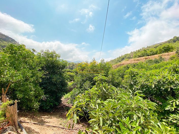 Image No.41-1 Bed Property for sale