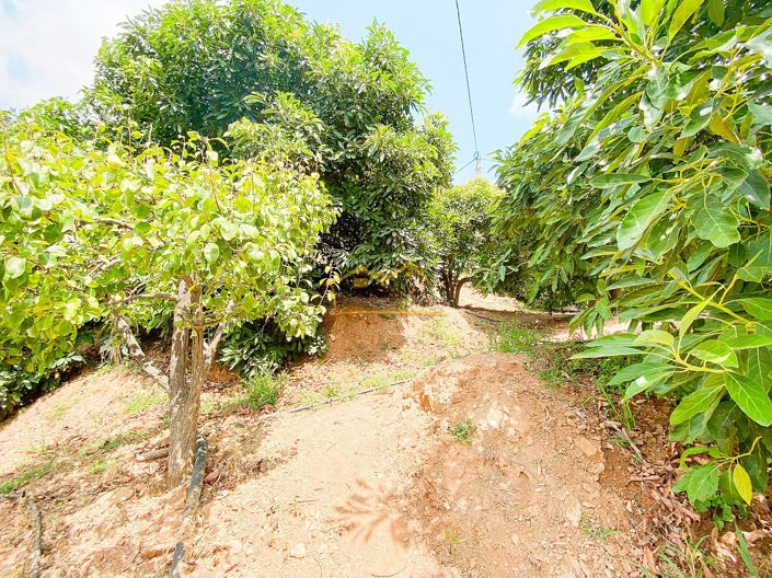 Image No.43-1 Bed Property for sale