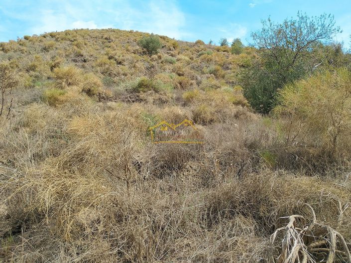 Image No.9-Property for sale