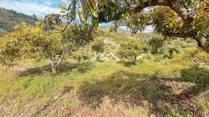 Image No.29-3 Bed Property for sale