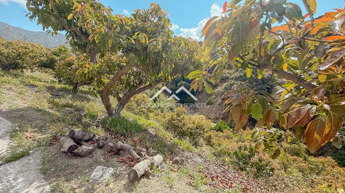 Image No.32-3 Bed Property for sale