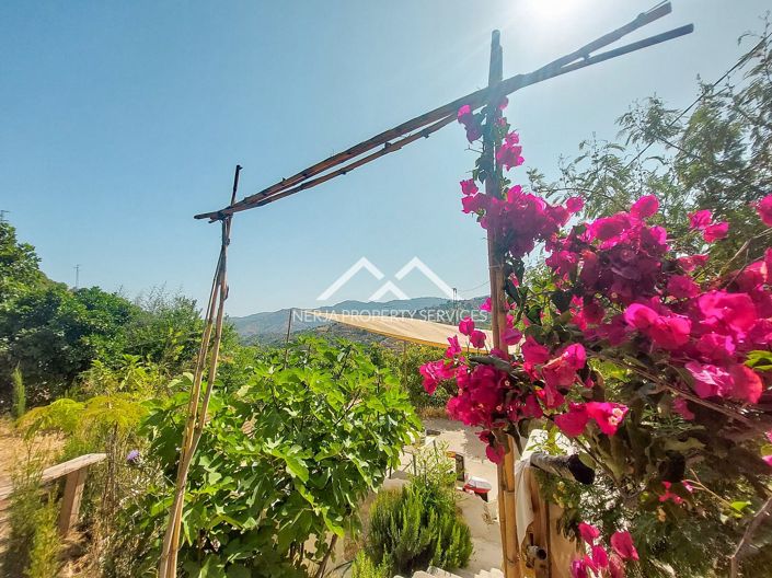 Image No.24-2 Bed Cottage for sale