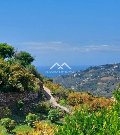 Image No.30-Chalet de 2 chambres à vendre à Frigiliana