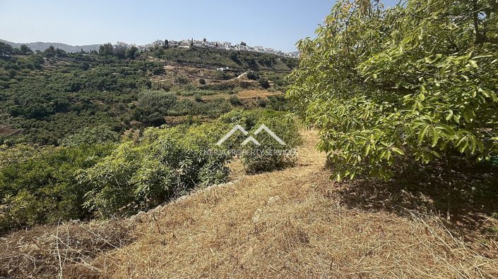 Image No.13-Propriété à vendre à Frigiliana