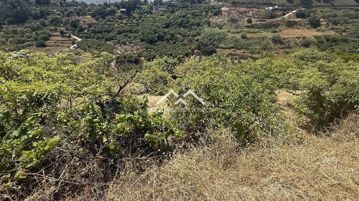 Image No.14-Propriété à vendre à Frigiliana
