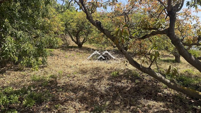 Image No.15-Propriété à vendre à Frigiliana