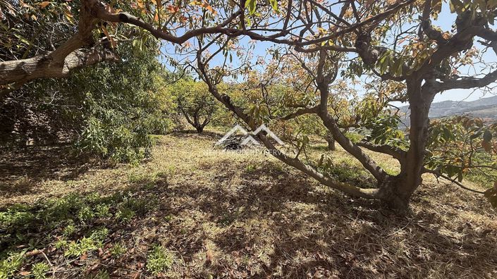 Image No.2-Propriété à vendre à Frigiliana
