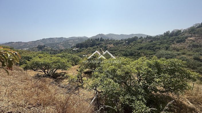 Image No.4-Propriété à vendre à Frigiliana