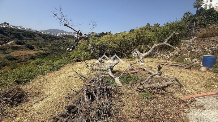 Image No.5-Propriété à vendre à Frigiliana
