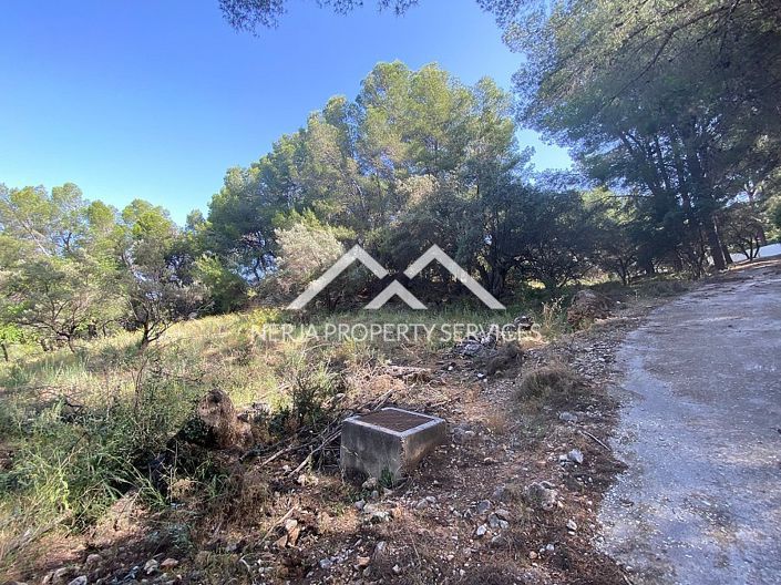 Image No.4-Property for sale