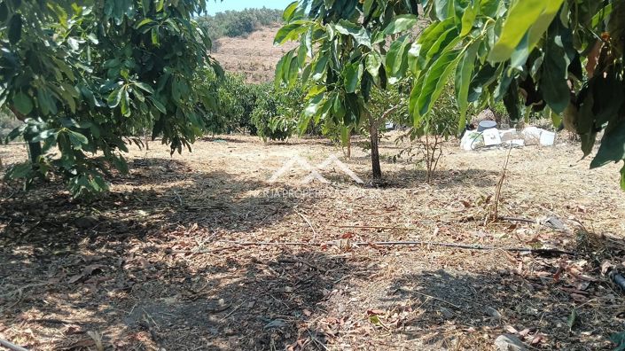 Image No.3-Propriété à vendre à Frigiliana