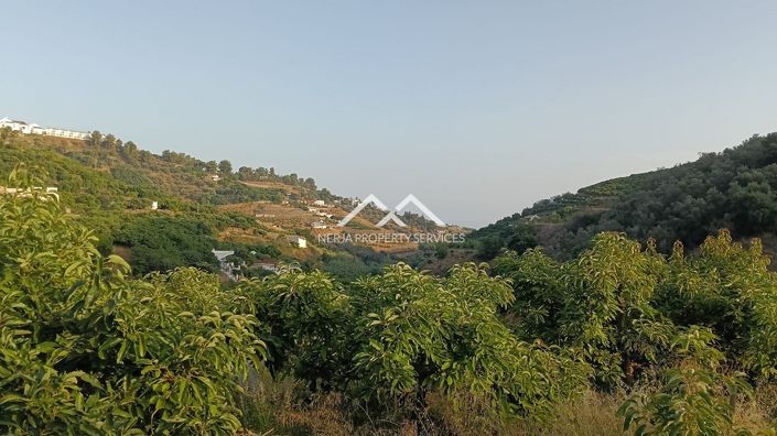 Image No.7-Propriété à vendre à Frigiliana