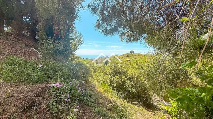 Image No.44-Villa de 2 chambres à vendre à Frigiliana