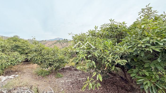 Image No.37-2 Bed Property for sale