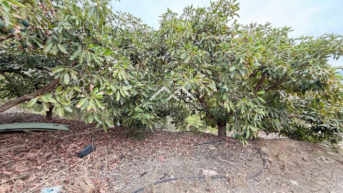 Image No.38-2 Bed Property for sale