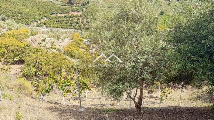Image No.15-Property for sale